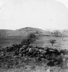 Tranchées boers et crête de Harts Hill, scène de la célèbre charge de la brigade irlandaise, Colenso, 1901