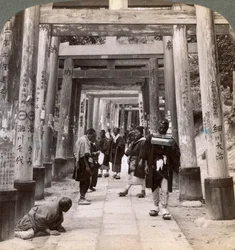 Aller et venir sous de longues rangées de torii sacrés, temple shinto d
