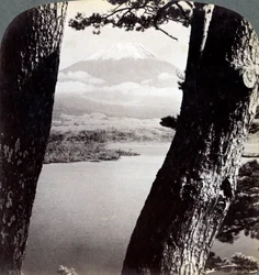 Mont Fuji, vu du nord-ouest, à travers les pins du lac Motosu, Japon