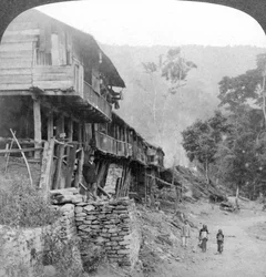 Village indigène, pont de Teesta près de Darjeeling, Inde, 1903