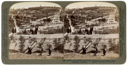 Le Jardin de Gethsémani et le Mont des Oliviers, Palestine, 1908