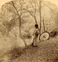 Les Jours Dorés de l
