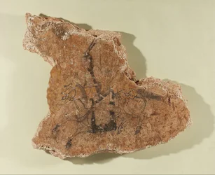 Fragment d