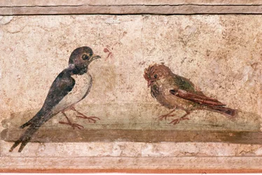 Hirondelle et moineau, peinture murale romaine de Boscoreale près de Pompéi, 1er siècle
