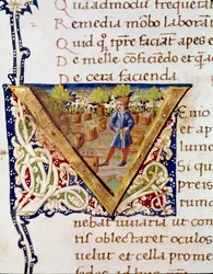 Un apiculteur et ses ruches (miniature)