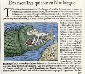 Un monstre marin bat un nageur près des côtes de la Norvège. Gravure par Olaus Magnus (1490 - 1557), religieux et géographe suédois, « Historia de Gentis Septentrionalibus », Venise