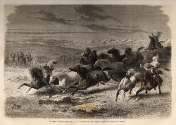 Un rodéo à Lauramarca (Bas Pérou), la capture de chevaux sauvages, avant leur marquage au fer avec les initiales du propriétaire de la région, considéré comme un spectacle complet, de nombreux badauds rassemblés. Gravure pour illustrer le voyage dans les v