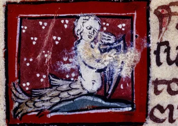 Une sirène - bestiaire du 14ème siècle. Milan, Biblioteca Trivulziana