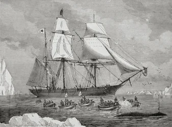Un baleinier avec un bateau attaché à un 