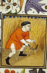 Représentation allégorique de juillet. Récolte : un paysan fauchant du blé doré. Miniature d