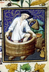 Représentation allégorique de septembre. Récolte, égrappage du raisin. Miniature d