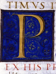 Alphabet : lettre miniaturée P