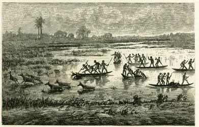Chasse à l