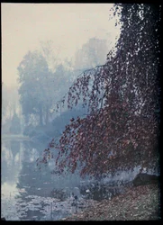 Paysage d