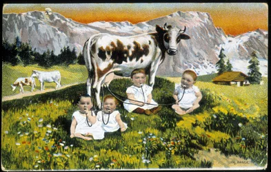 Bébés têtus une vache par des tuyaux - Carte postale, fin du XIXe siècle