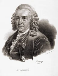 Carl Von Linné naturaliste et écrivain suédois (1707 - 1778)