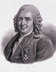 Carl Von Linné naturaliste et écrivain suédois (1707 - 1778) - dans « Portrait d