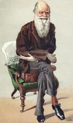 Charles Darwin (1809 - 1882), illustration dans Vanity Fair du 30 septembre