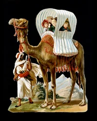 Enfants marchant dans un panier à dos de chameau, Algérie