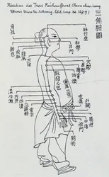Acupuncture chinoise : le méridien des trois réchauffeurs