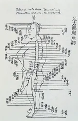 Acupuncture chinoise : le méridien de la vessie