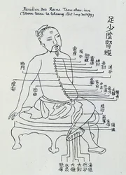 Acupuncture chinoise : le méridien des reins