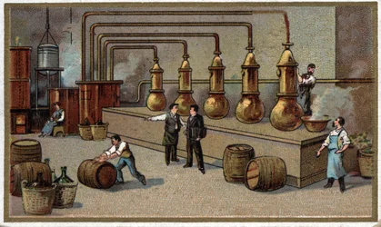 Chromolithographie de la fin du XIXe siècle