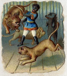 Cirque : un dompteur dans une cage avec des animaux sauvages.