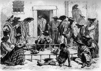 Combat de coqs en Amérique du Sud. Gravure dans « Le Journal de la Jeunesse »