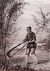 Coupe des bambous, fabrication du papier en Chine (IIIe siècle av. J.-C.) (gravure)