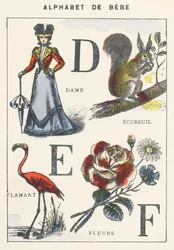 D E F : dame, écureuil, flamant rose, fleurs