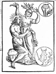 Daphné poursuivie par Apollon est transformée en laurier - Gravure dans Mythologiae sive explicationis fabularum, Patavia