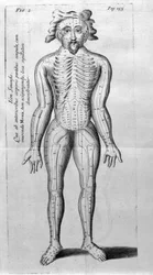 De Acupunctura par W.Ten Rhijne. Londres 1683. Premier texte occidental traitant de l