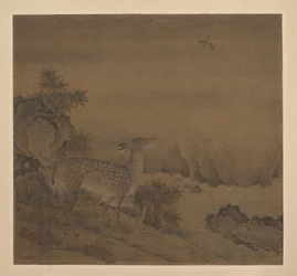 Cerf près d