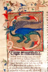 Lettrine décorée de dragon (détail) d