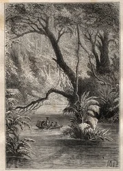 Expédition en Amérique (1799-1804) par Alexander von Humboldt (1769-1859) et Aimé Bonpland (1773-1858) : les explorateurs descendent l
