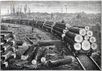 Exploitation des forêts des États-Unis. Chemins de fer temporaires avec voie en bois. Wagons transportant des troncs d