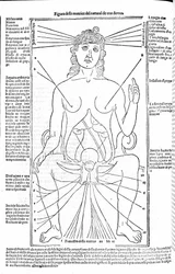 Appareil reproducteur féminin - dans le Traité de Médecine par Gerolamo Cardano (Cardanus Hieronymus), Florence 1585.