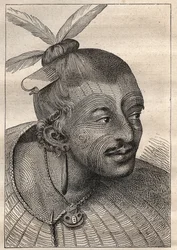 Premier voyage (1768-1771) du capitaine James Cook (1728-1779) : tête tatouée d