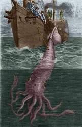 Pêche d