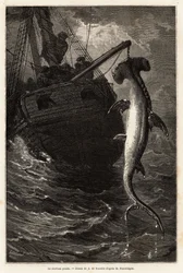 Pêche d