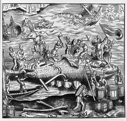 Pêche et chasse à la baleine, d