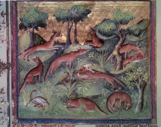 Chasse au renard. Miniature du manuscrit « Le livre de la chasse » (folio 34v) par Gaston Phébus (1331-1391) dit Gaston III Comte de Foix