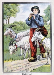 Chèvre : Le gardien de chèvres jouant du pipot