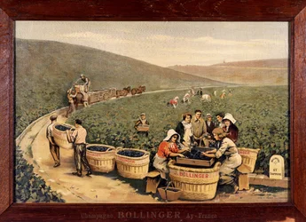 Récolte à Bollinger, vers 1900.