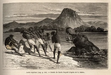 Chasse à l