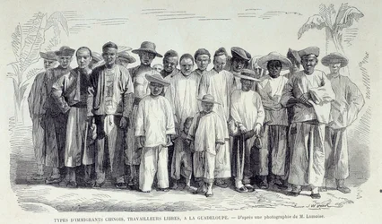 Histoire des colonies françaises : immigrants chinois travaillant en Guadeloupe. Dessin d