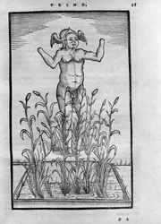 Homme sans bras - dans "De Transmutatione Metallica Sogni Tre" de Giovanni Battista Nazari, édité à Brescia en 1599