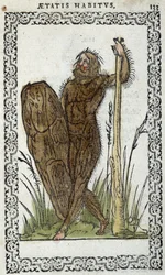 Homme sauvage - dans « Habits et effigies » par Jean Sluperius