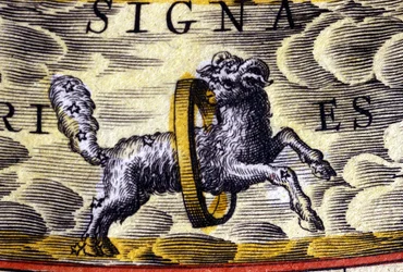 Horoscope : signe du zodiaque, le Bélier